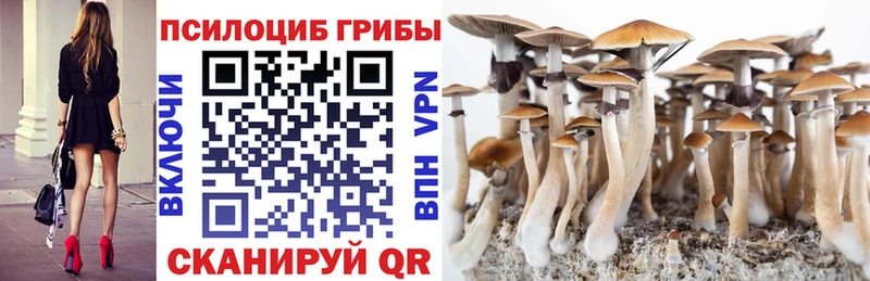 где продают наркотики  Кремёнки  Галлюциногенные грибы Psilocybine cubensis 