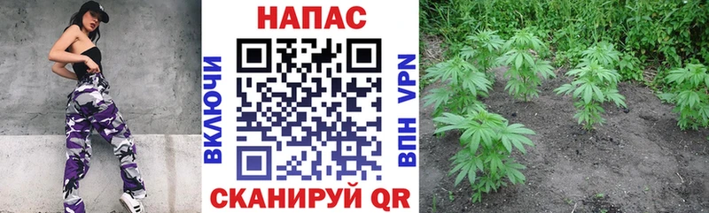 Шишки марихуана THC 21%  Кремёнки 